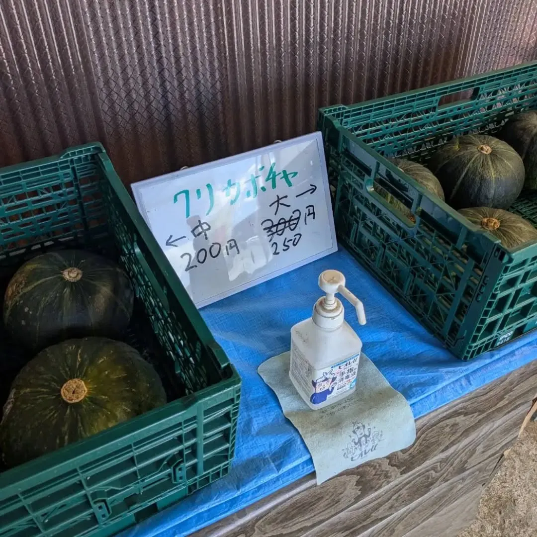 八代トマト🍅、本日分完売しました❗️