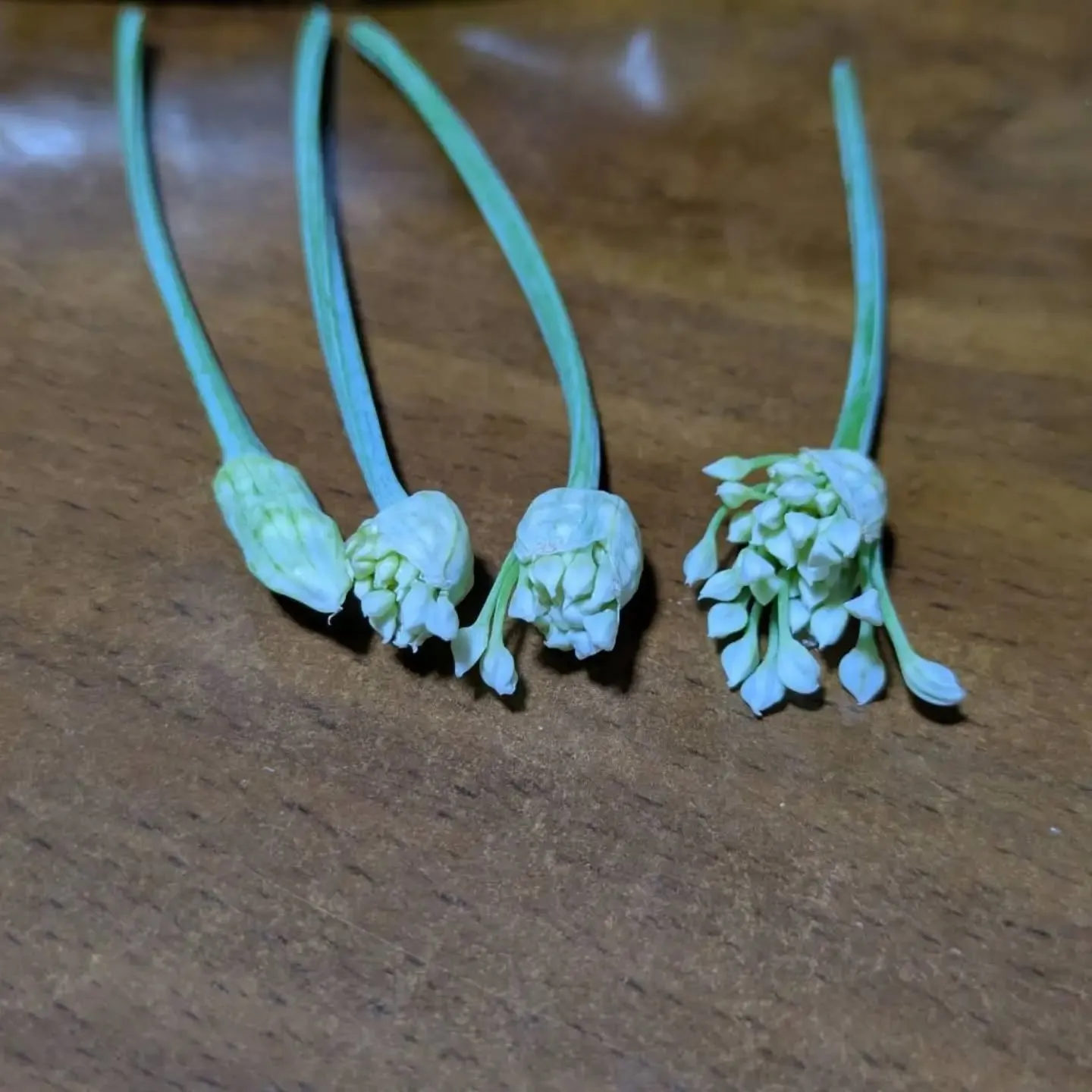 ワケあり野菜果物販売所です。