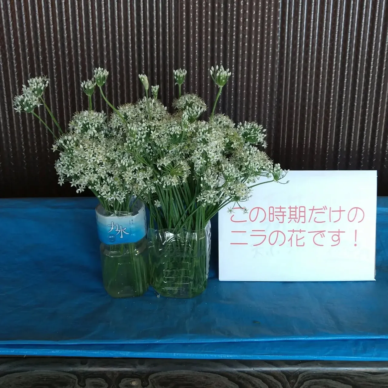 ワケあり野菜果物販売所です。